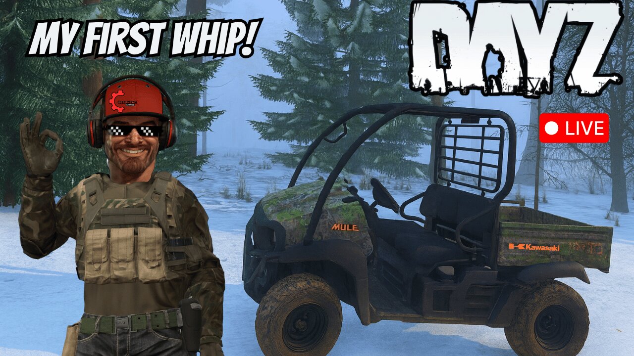 🔴 DayZ Live: Cold Blood, Hot Loot