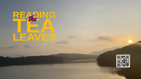 Citadel Summer Episode 49: Reading the Tea Leaves