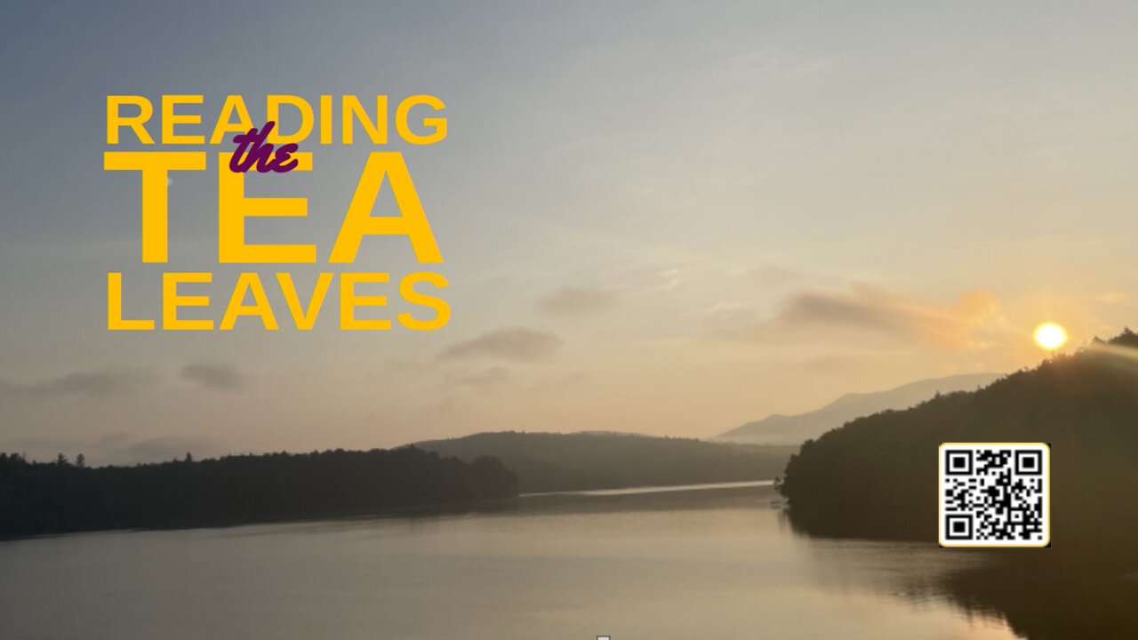 Citadel Summer Episode 49: Reading the Tea Leaves