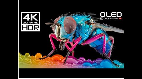 OLED TEST DEMO | 4K HDR 60fps | Dolby Vision (8K / 4K TV)