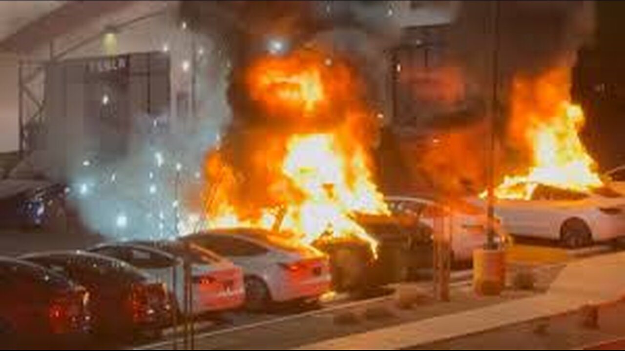 Tesla Vandalism Reveals TDS is Real!