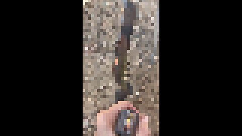 Ruger 10/22 box mags