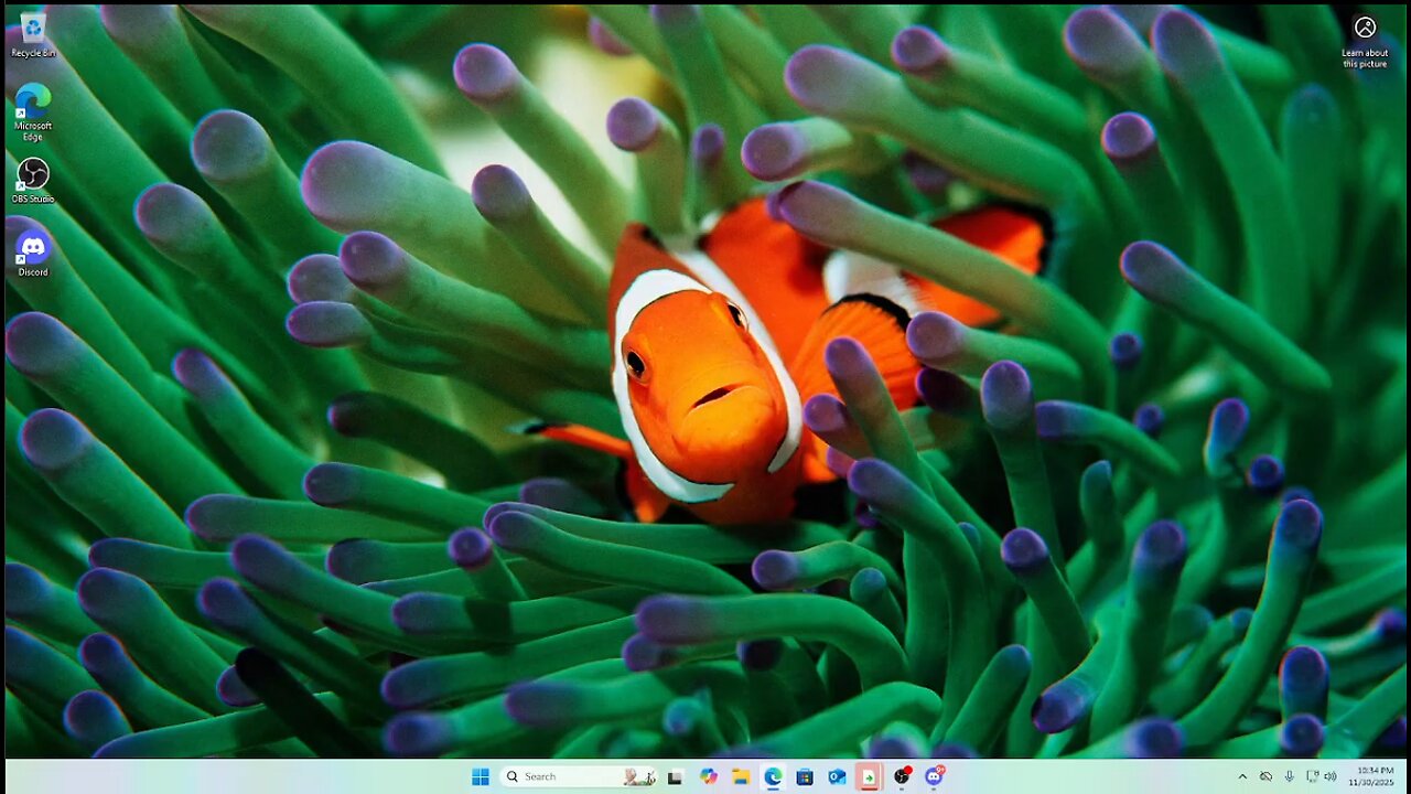 ANON 11.30.25 stackswopo full live stream