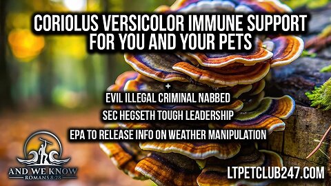 7.11.25: YOUR Immune system is under attack, Geoengineering info from EPA, Mushroom helping pets/people, Pray!