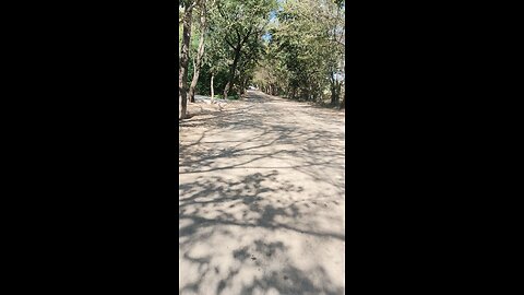 Importance of trees 🌳🌴