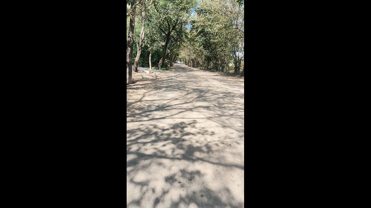 Importance of trees 🌳🌴