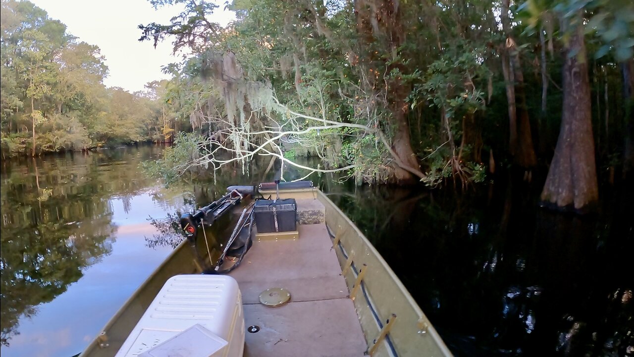 Bush Hooking Catfish on the Little Pee Dee River- Pitts Landing, South Carolina