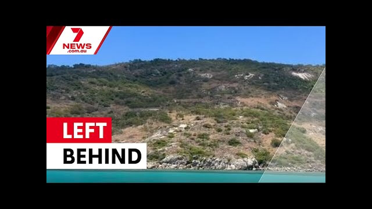 Cruise passenger dies after being left on remote island | 7NEWS