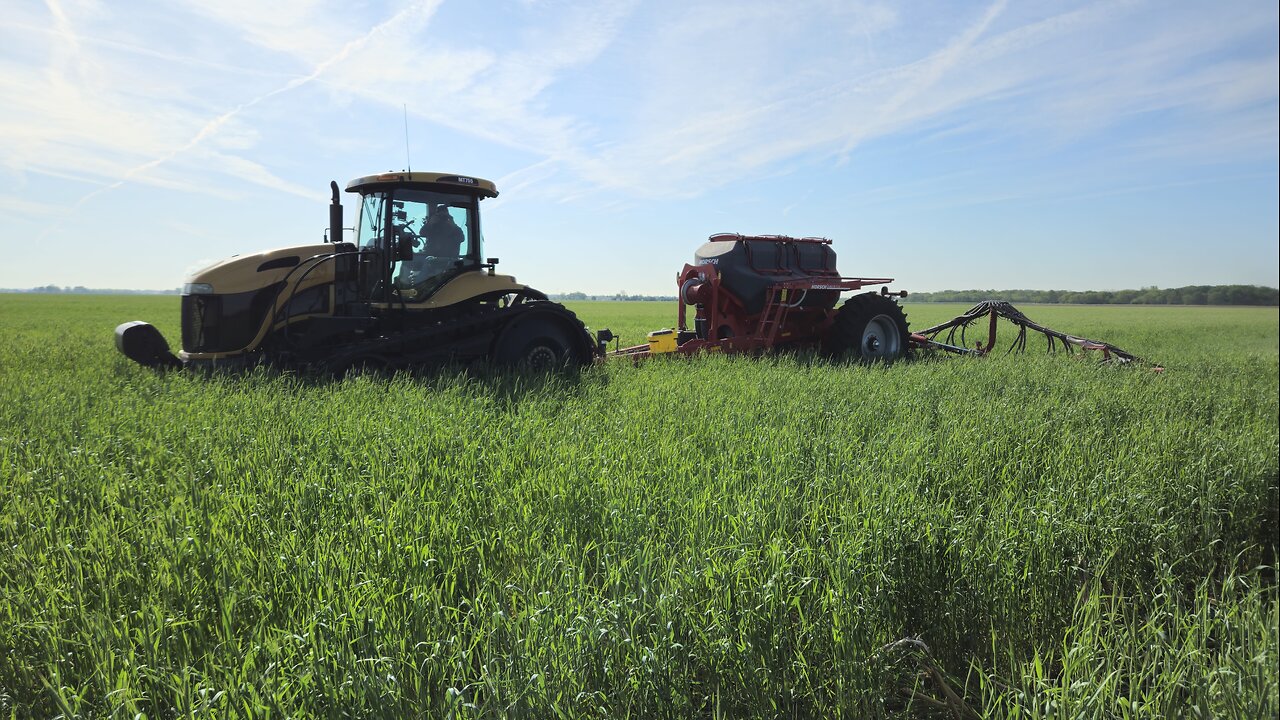 Spring Planting of 2025