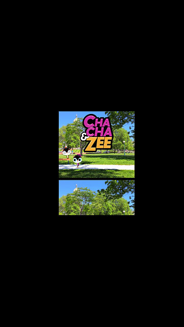 Why This Baby Penguin Catches Z's Outside the Colorado State Capitol