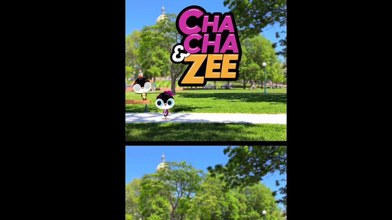Why This Baby Penguin Catches Z's Outside the Colorado State Capitol