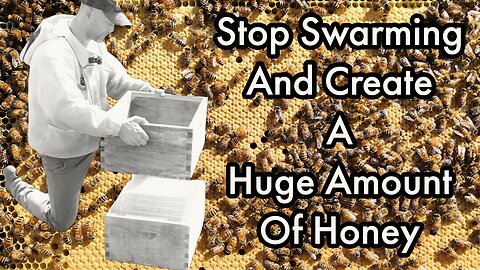 Stop Swarming And Make A Ton Of Honey