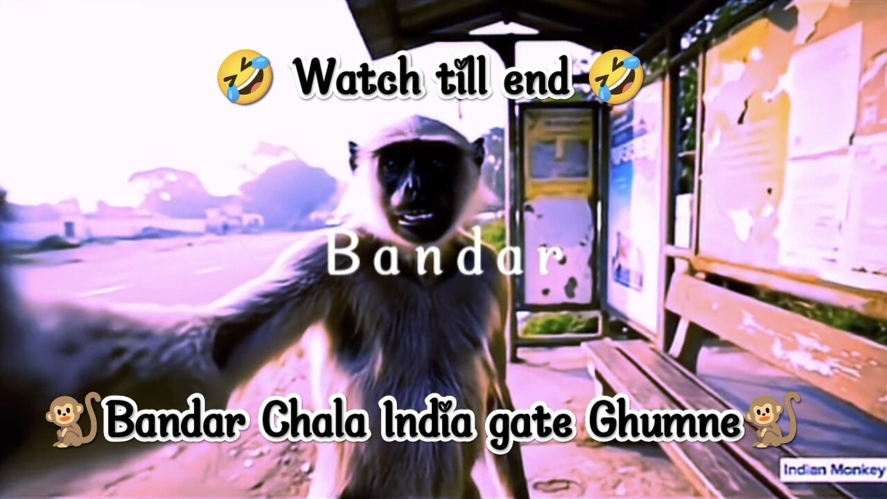 🤣🐒Monkey visit india gate blog🐒🤣