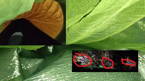 04, night thoughts, bitter cold, chill wind , mushroom spawn