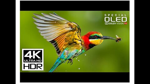 Beautiful 4K Videos with relaxing music for stress relief | 4K HDR 60fps | Dolby Vision