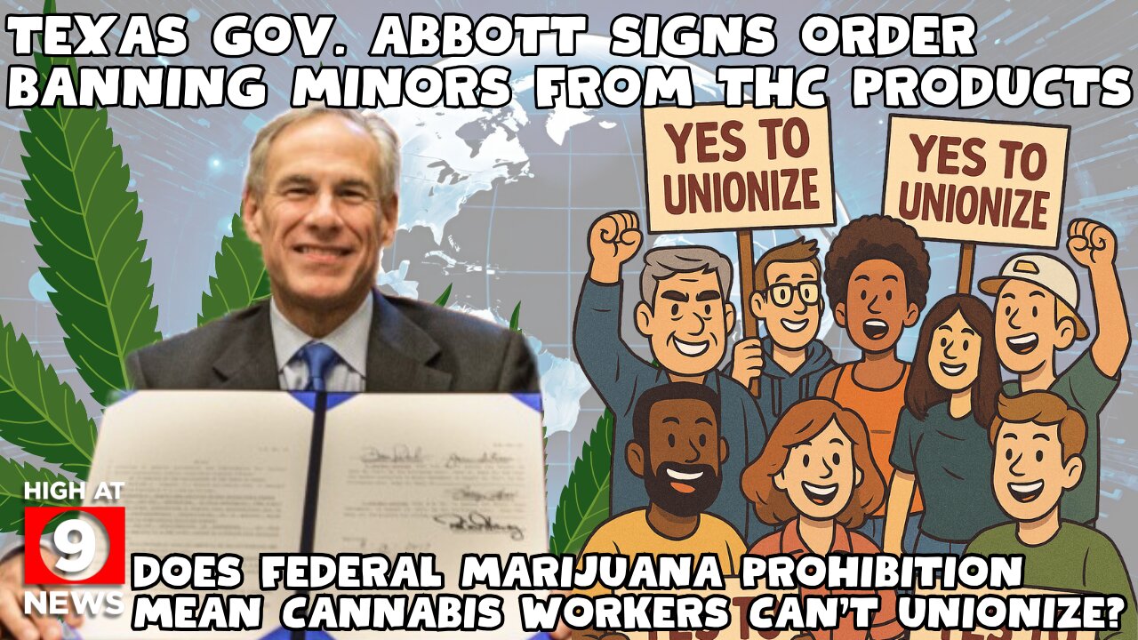 Cannabis Records Impact Medicaid Work Requirements