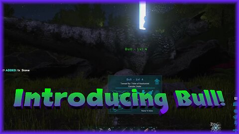 Introducing Bull! / ARK R1 E5