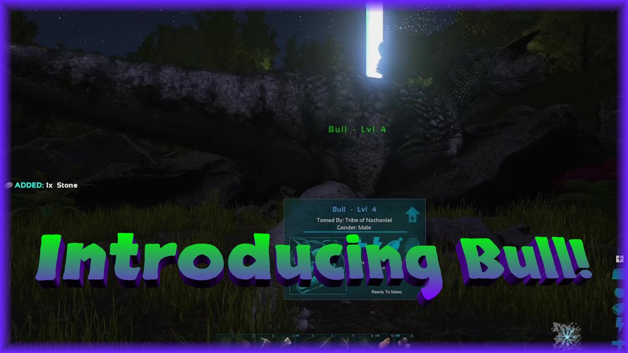 Introducing Bull! / ARK R1 E5