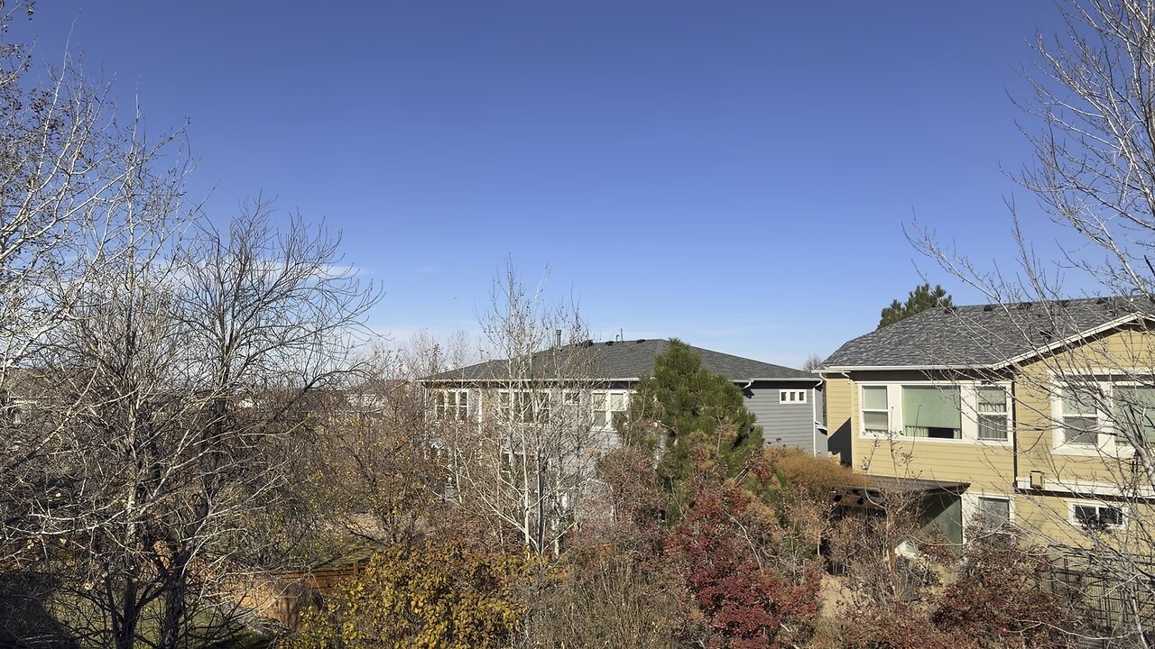 Chilling outside for a bit