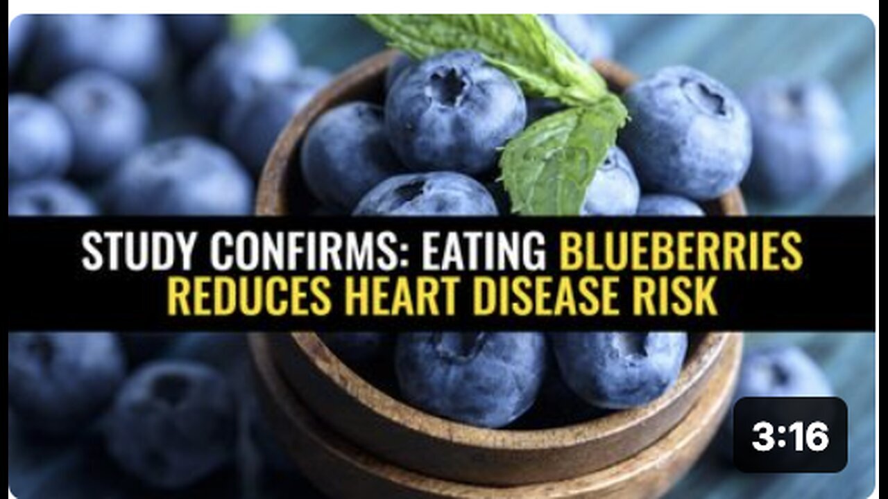 "Blueberry Consumption Confirmed to Lower Heart Disease Risk, Study Reveals"