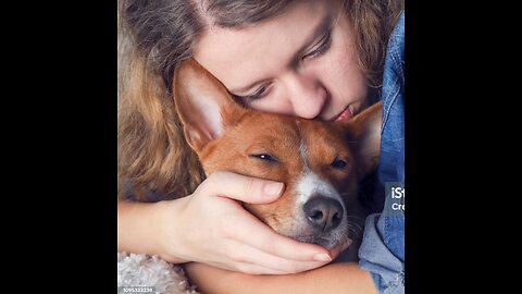 ANIMAL AWARENESS OF DEATH COMING