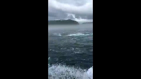 Bermuda triangle 🔺️