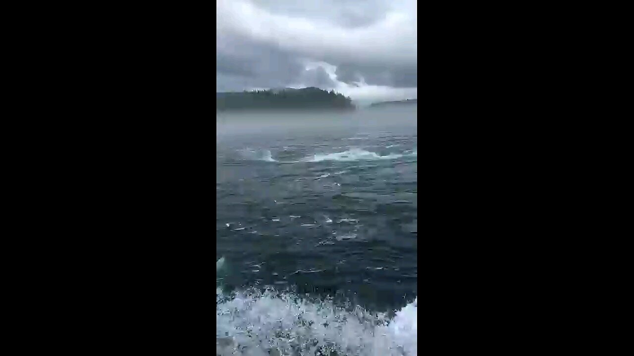 Bermuda triangle 🔺️