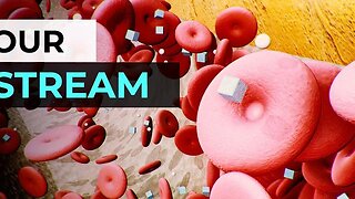 PFAS IN OUR BLOODSTREAM