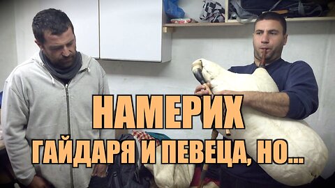 НАМЕРИХ ГАЙДАРЯ И ПЕВЕЦА, НО... /ПЕЙТРИЪН/