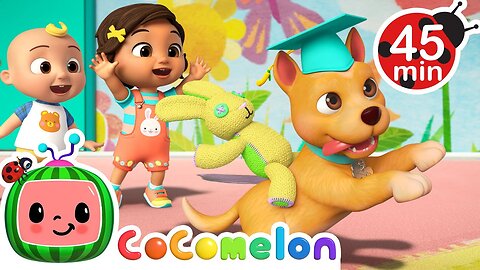 Best of BINGO! | Doggie Daycare & Puppy Play 🐶 + MORE CoComelon Nursery Rhymes & Songs