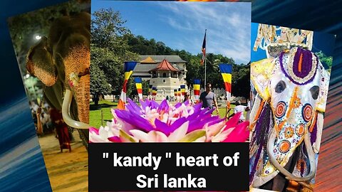 sri lanka travel