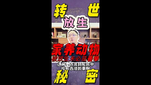 What is the correct way to release animals! Listen to the psychic decipher for you