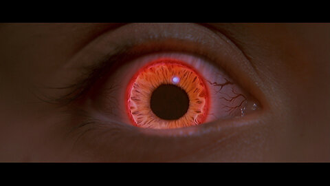 NOT Everyone That YOU Meet Is A HUMAN BEING (2025)