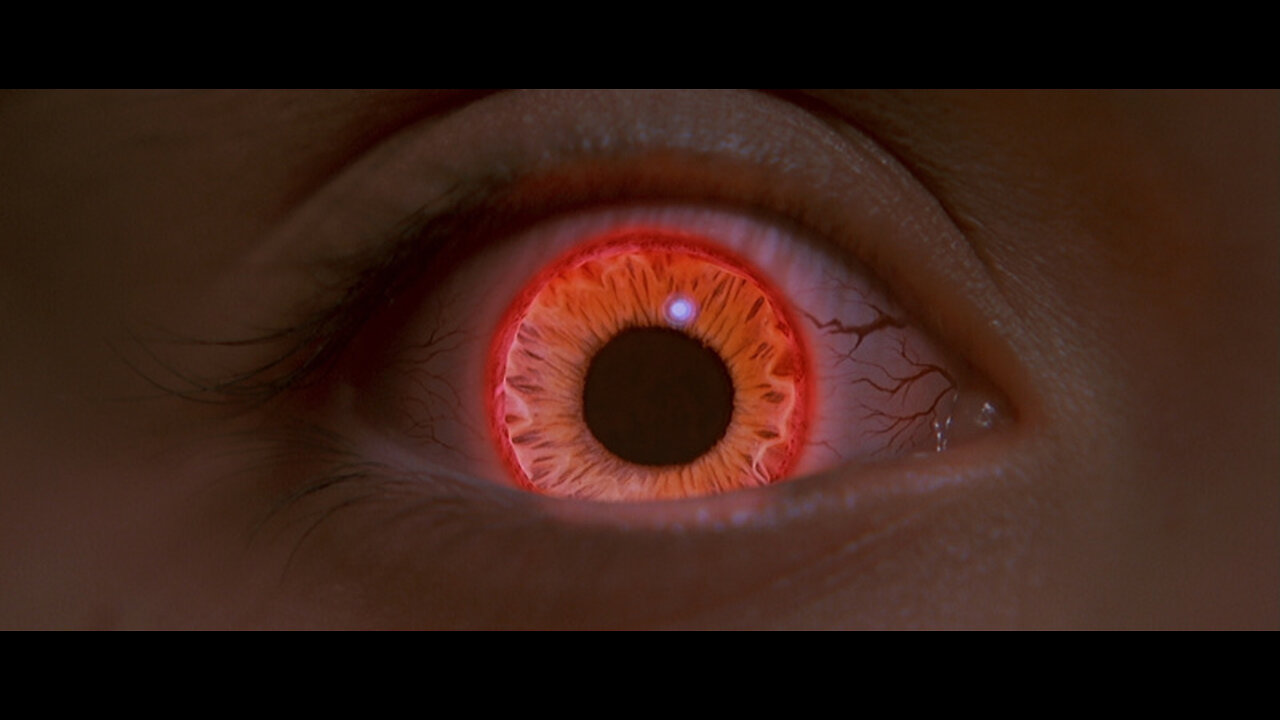 NOT Everyone That YOU Meet Is A HUMAN BEING (2025)