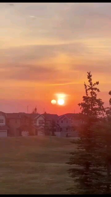 Our Binary Star Nemesis