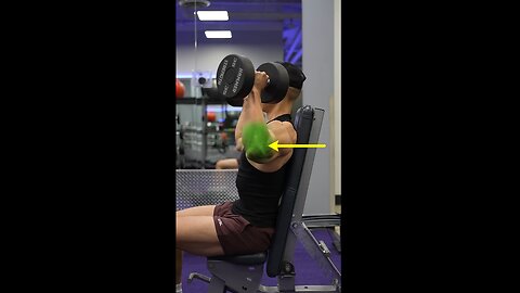 Dumbbell Shoulder Press - THE PERFECT ONE
