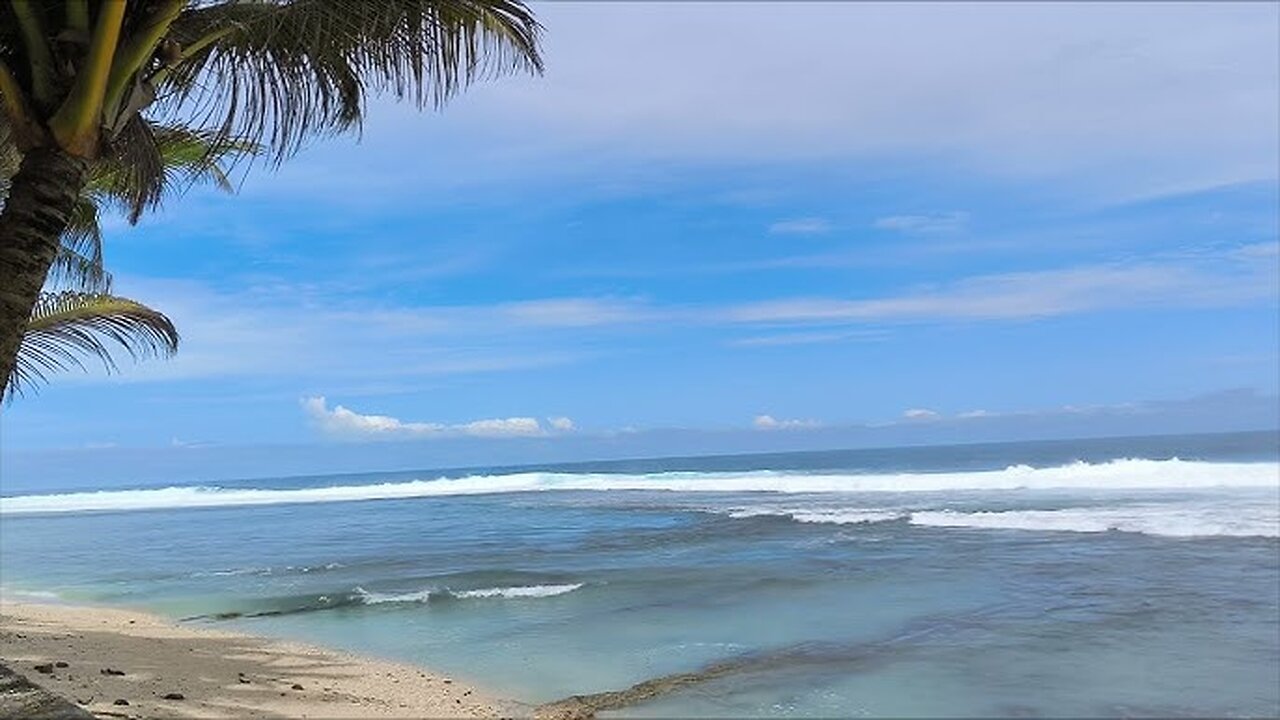 The Beauties of the sea