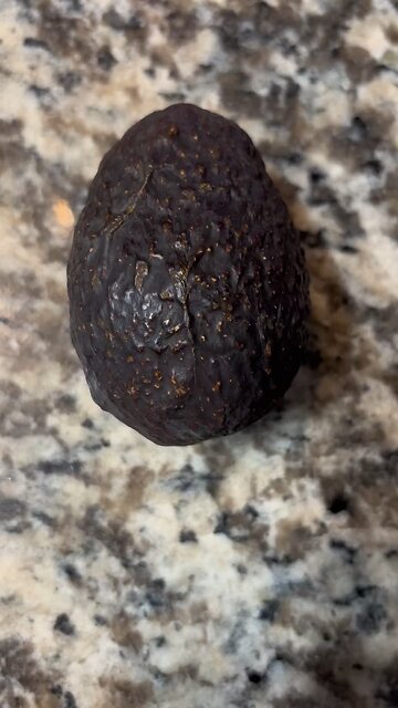 How to Keep Avocados Fresh and Ready When You Need One?