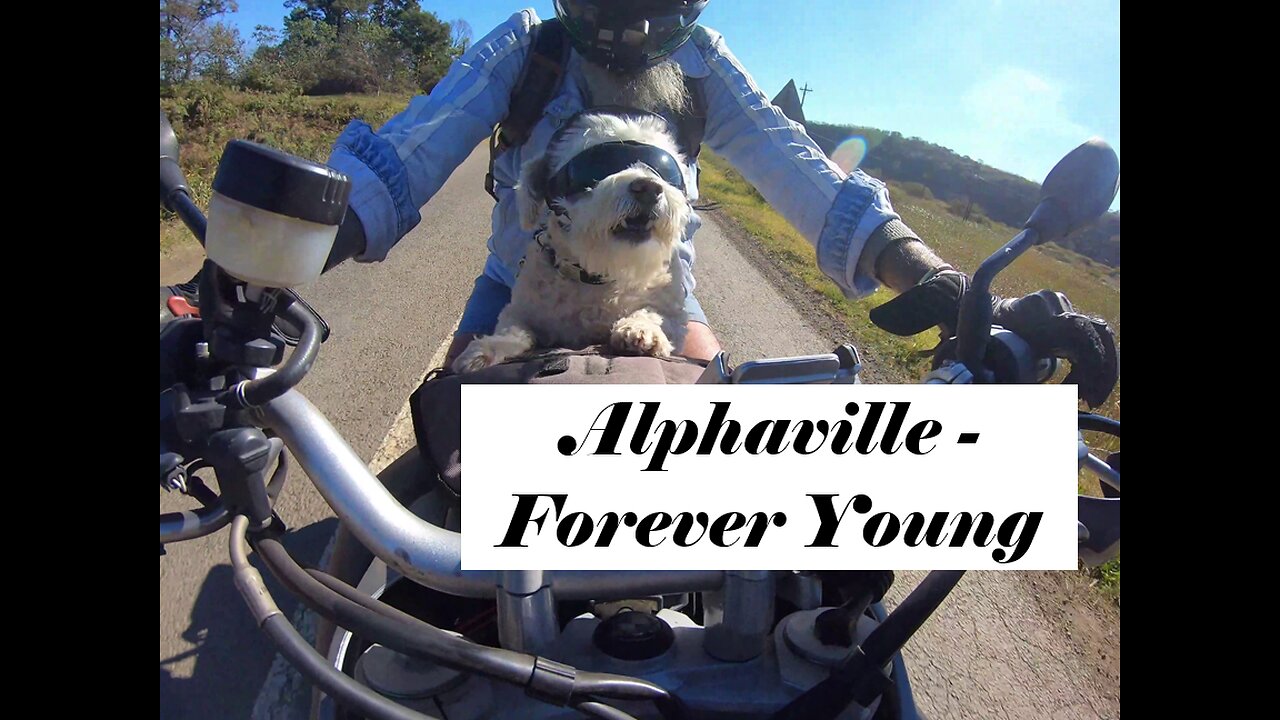 Alphaville - Forever Young