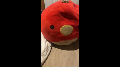 Welcome to ChubbyBirdCartoons