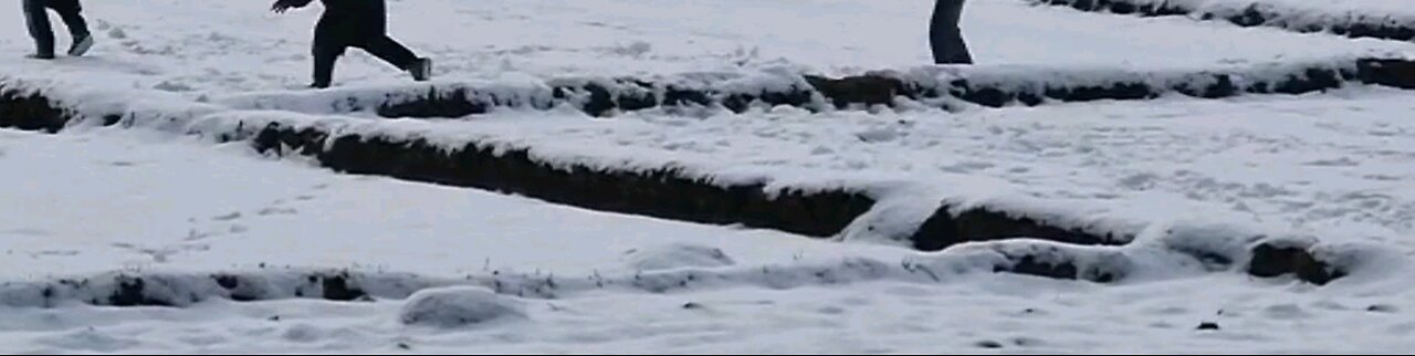 Kids playing Dogfight with Snowballs
