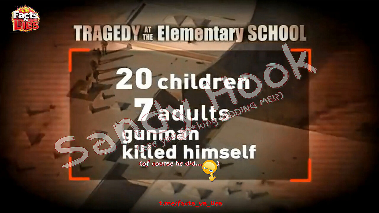 The Sandy Hook 'Shooting'...