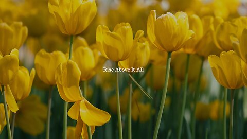 Rise Above It All Song