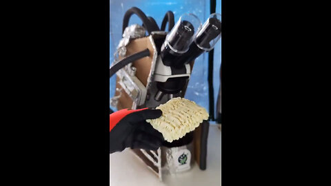 World Under a Microscope ~ Pre Package NOODLEs 🍜🪳