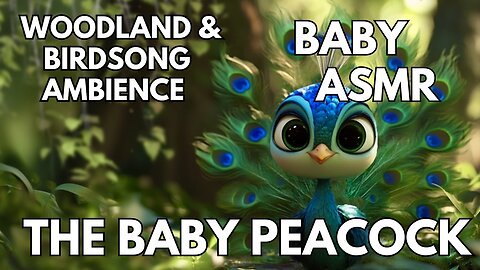 🍼 The Baby Peacock Ambience | Woodland & Birdsong | 4K Baby & Toddler ASMR | Summer