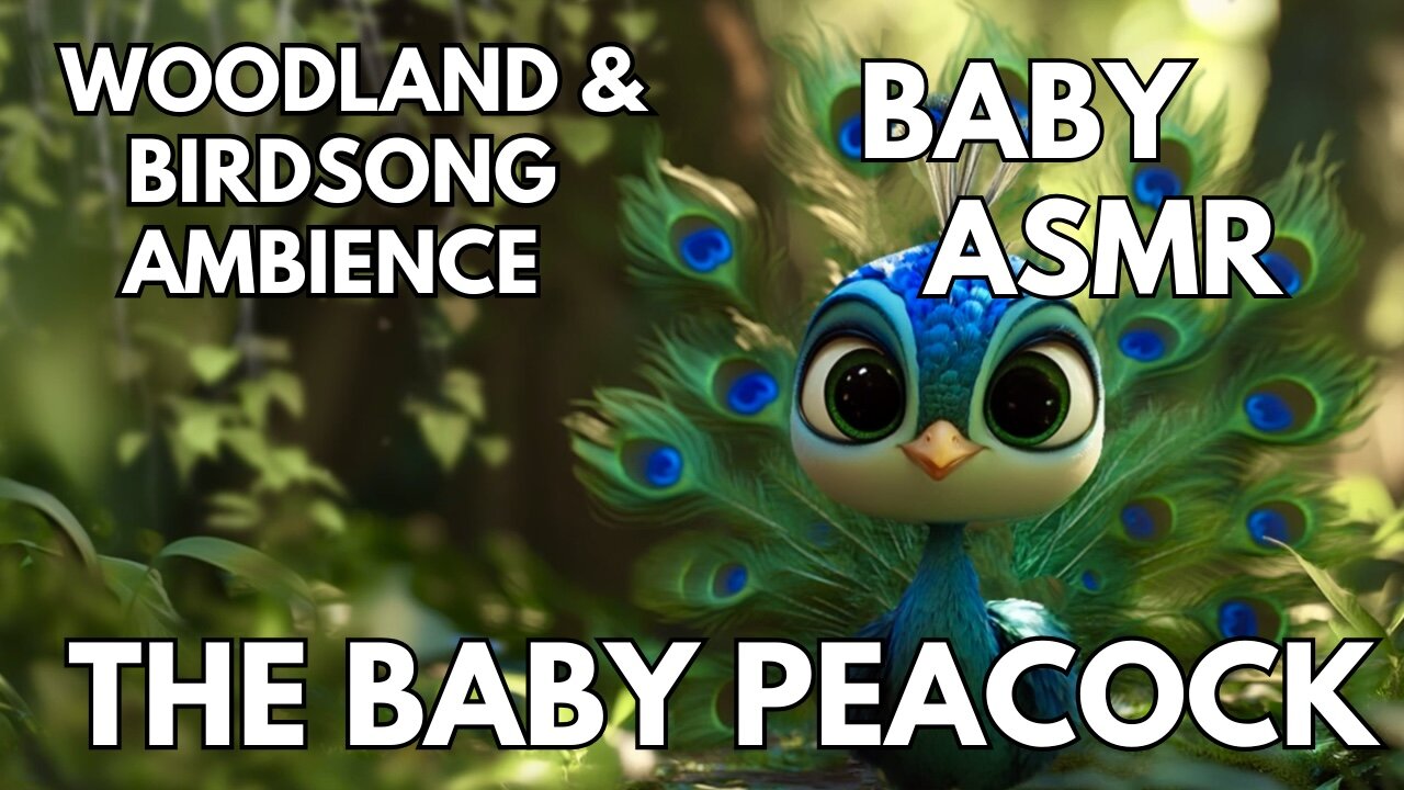 🍼 The Baby Peacock Ambience | Woodland & Birdsong | 4K Baby & Toddler ASMR | Summer