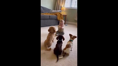 Play Time With four Friends |kids funy video | kids cartoon larnig