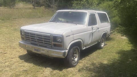 Project: Ivy. 1984 Ford Bronco 300 inline 6 automatic