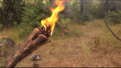 How to Make That Fire in the Wild 🕯