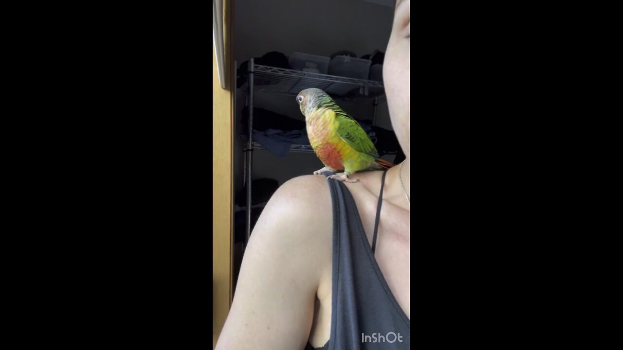 Sweet bird loves momma